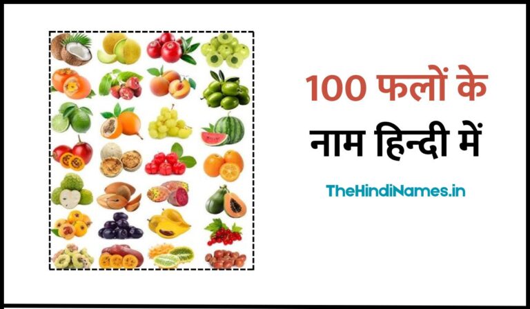 100 Fruits Name In Hindi 