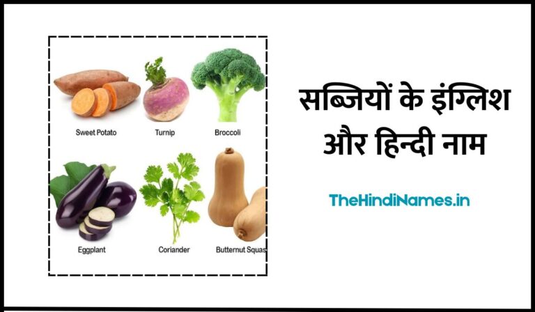 35 Vegetables Name In Hindi