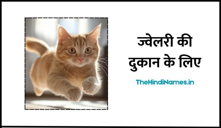Cat Name In Hindi