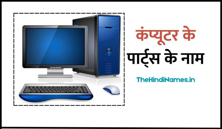 Computer Parts Name In Hindi