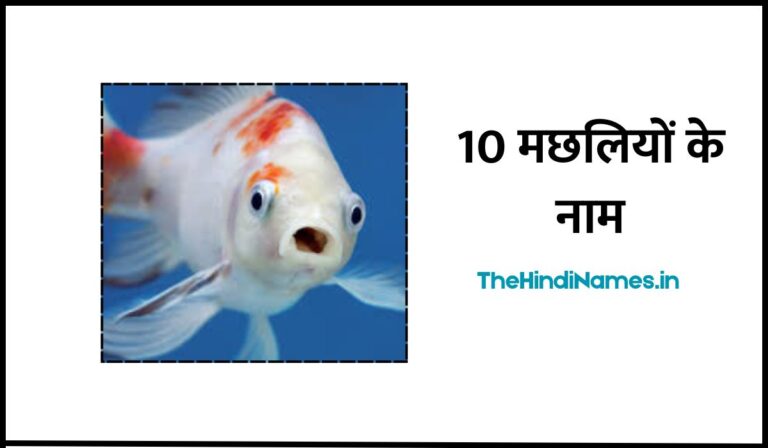 Fish Name In Hindi