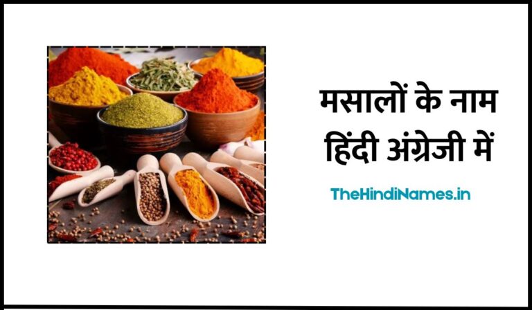 Name Of Spices In Hindi And English